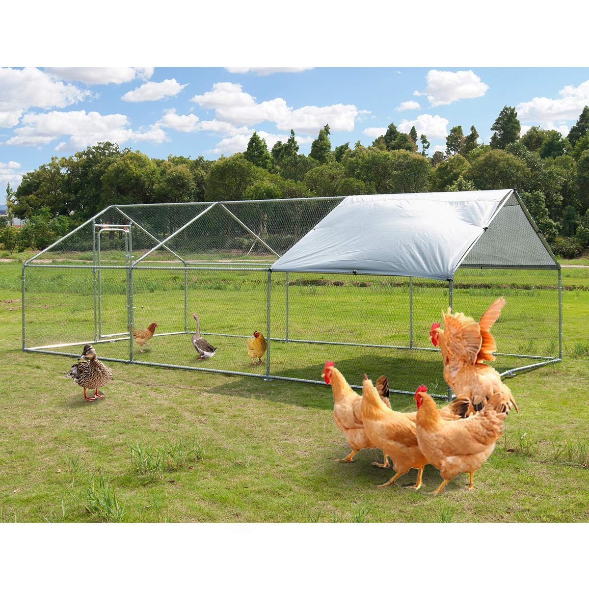 【Pet】【BS】Large Metal Chicken Coop Walk-in Poultry Cage Hen Run House Rabbits Habitat Cage(10'Lx20'Wx6.4'H)