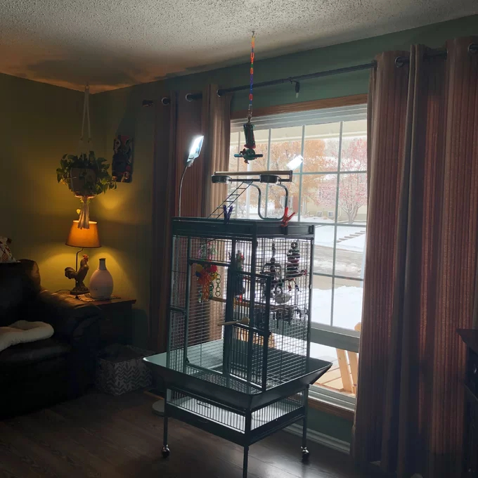 【Pet】Bremer Steel Play Top Floor Bird Cage with Wheels