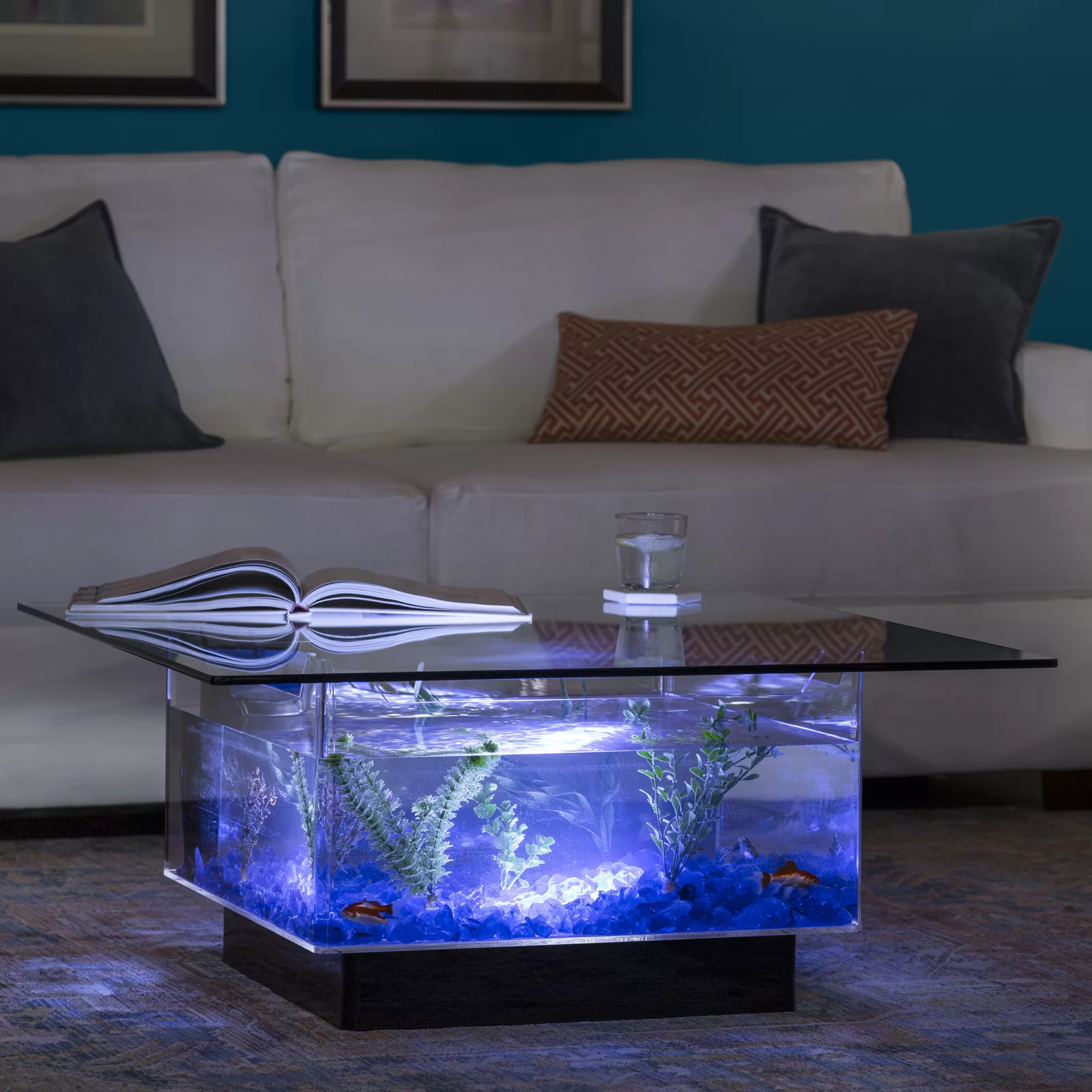 【Pet】Claire 25 Gallons Rectangle Alanrium Tank