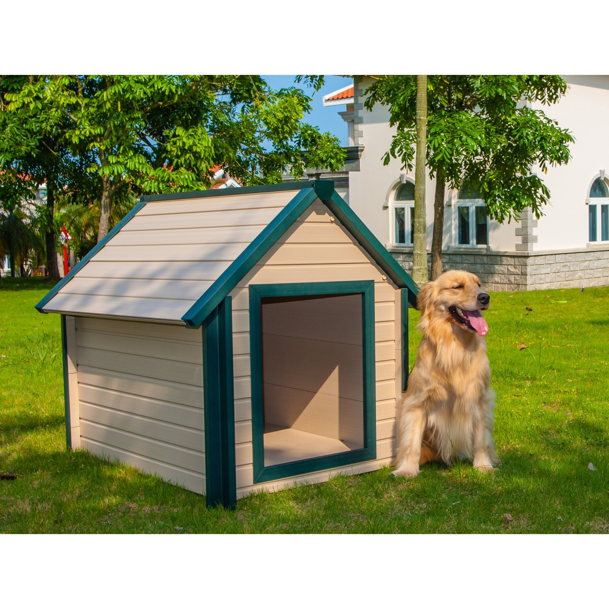 【Pet】Bunk Style Dog House