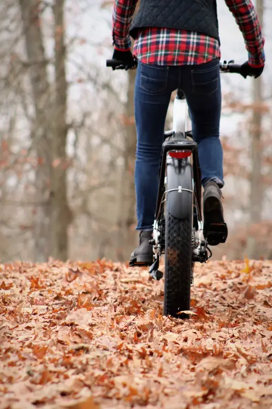 VELOWAVE Electric Bike Adults 750W BAFANG Motor 48V 15Ah Removable LG Cells Battery 26'' Fat Tire Ebike 28MPH Snow Beach Mountain E Bike Shimano 7-Speed