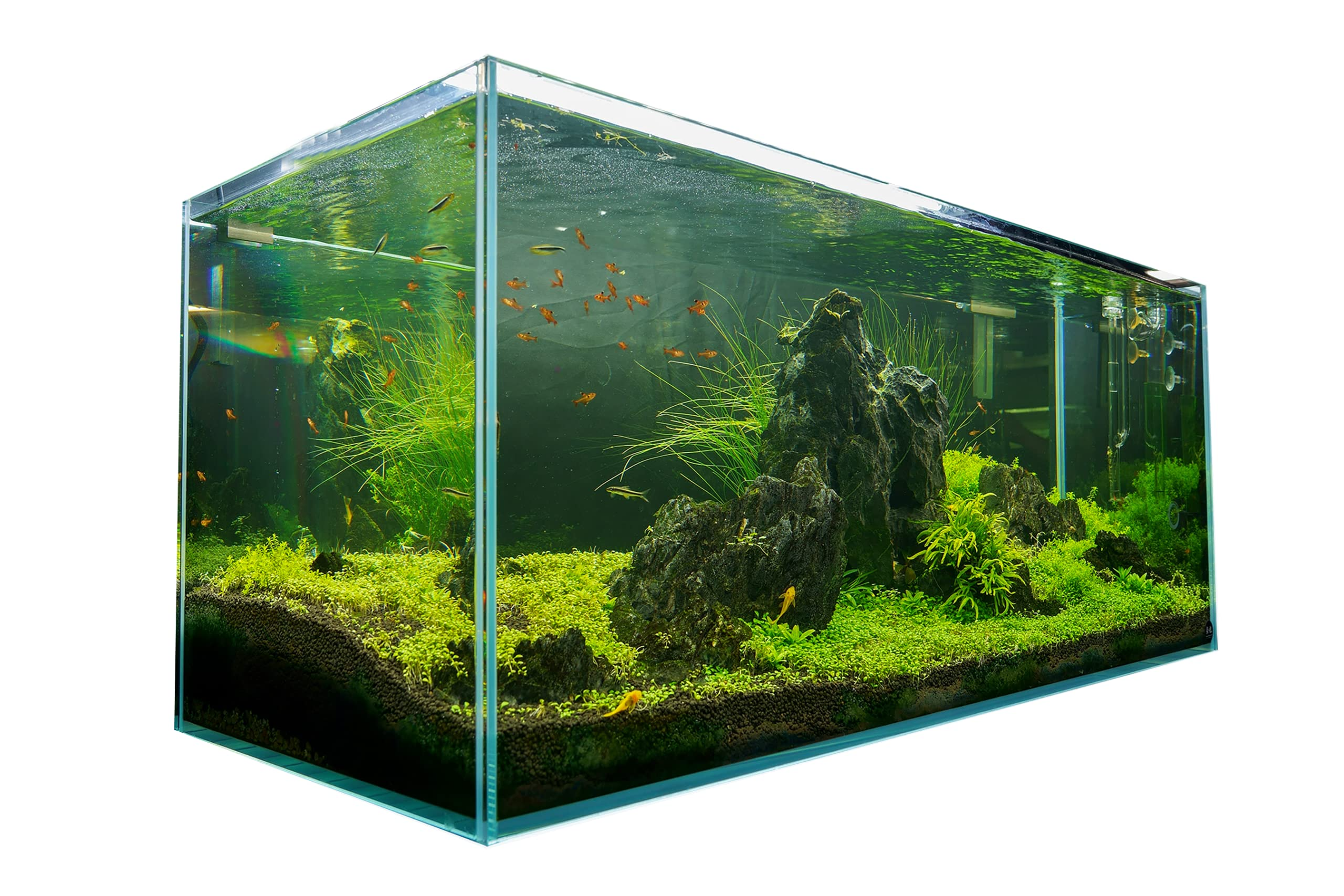 【Pet】120P 72.2 Gallon Rimless Low Iron Aquarium Tank, 47.2